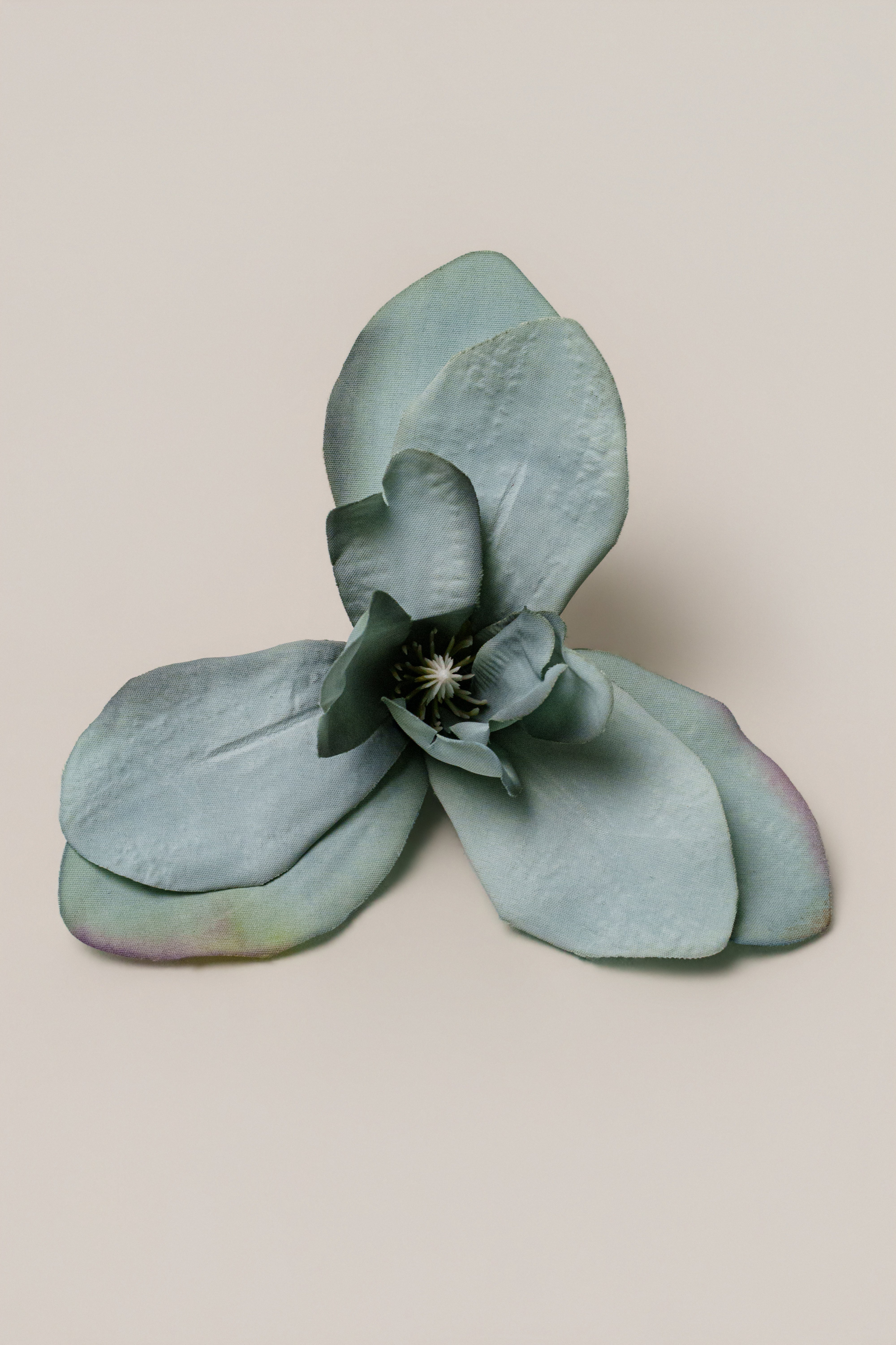 Sage Coastal Orchid hair clip from JLUXLABEL, stylish accessory with floral design, ideal for adding elegance to hairstyles.