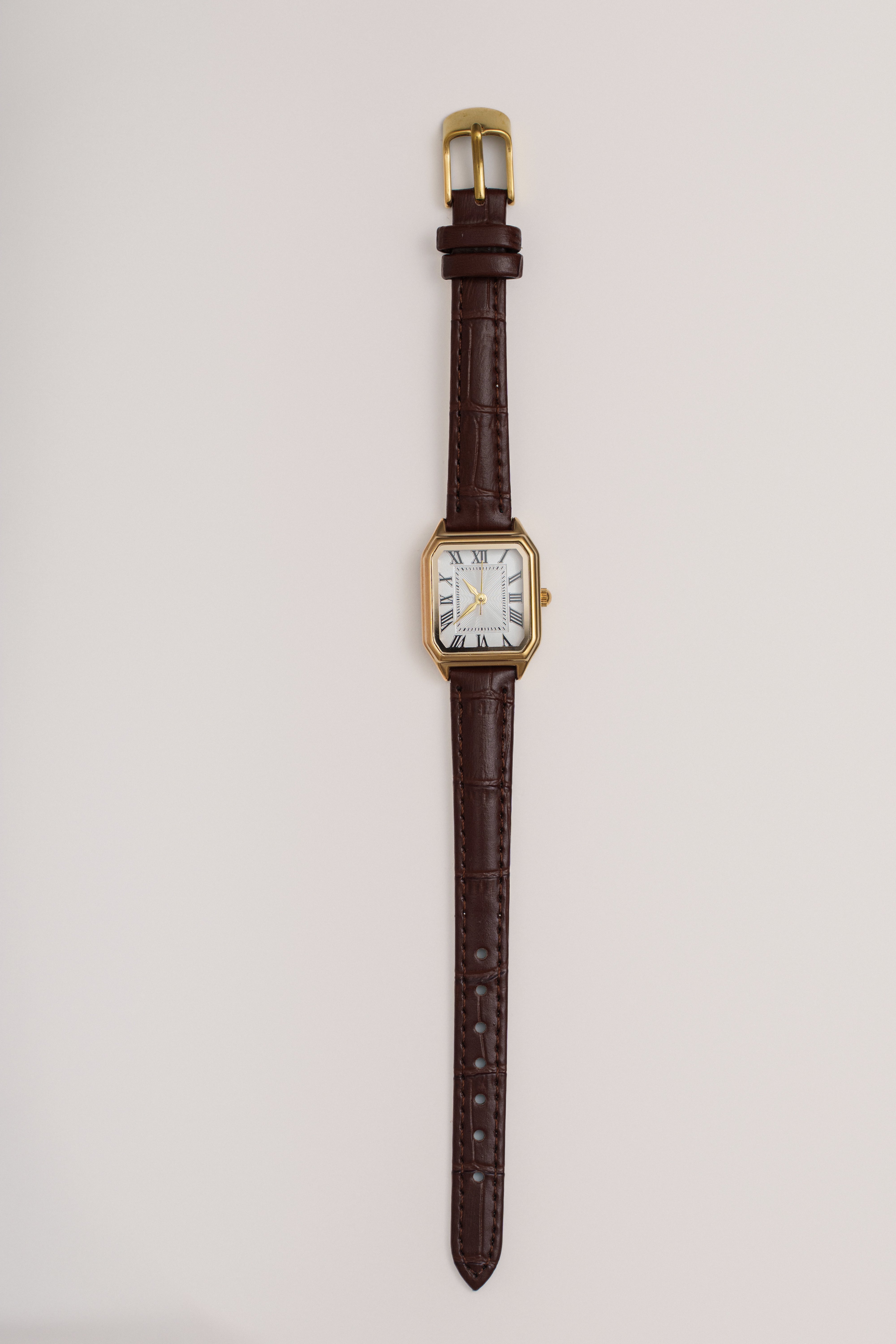 Brown Bridgette Watch - JLUXLABEL
