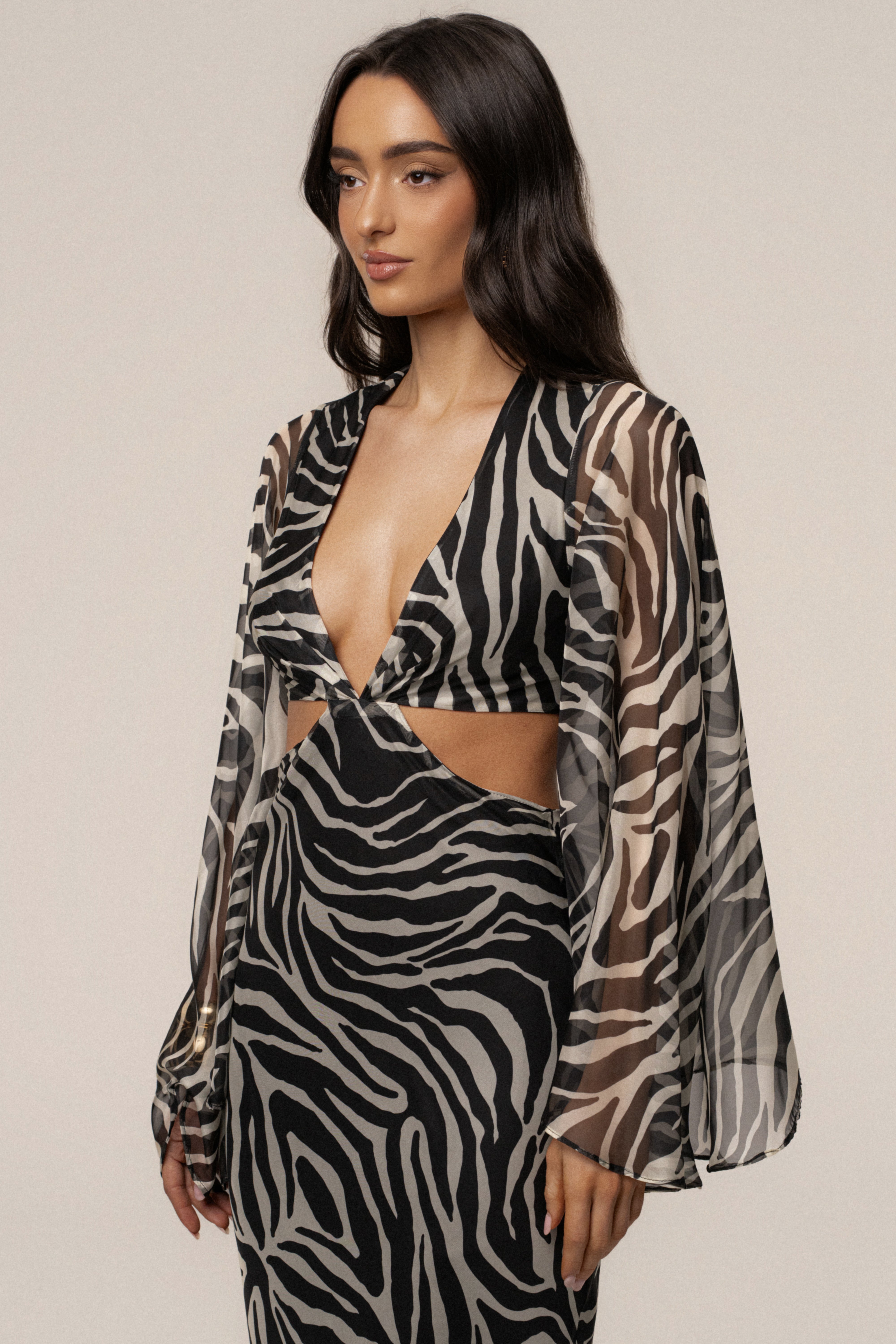 Black Zebra Instincts Print Maxi Dress - JLUXLABEL