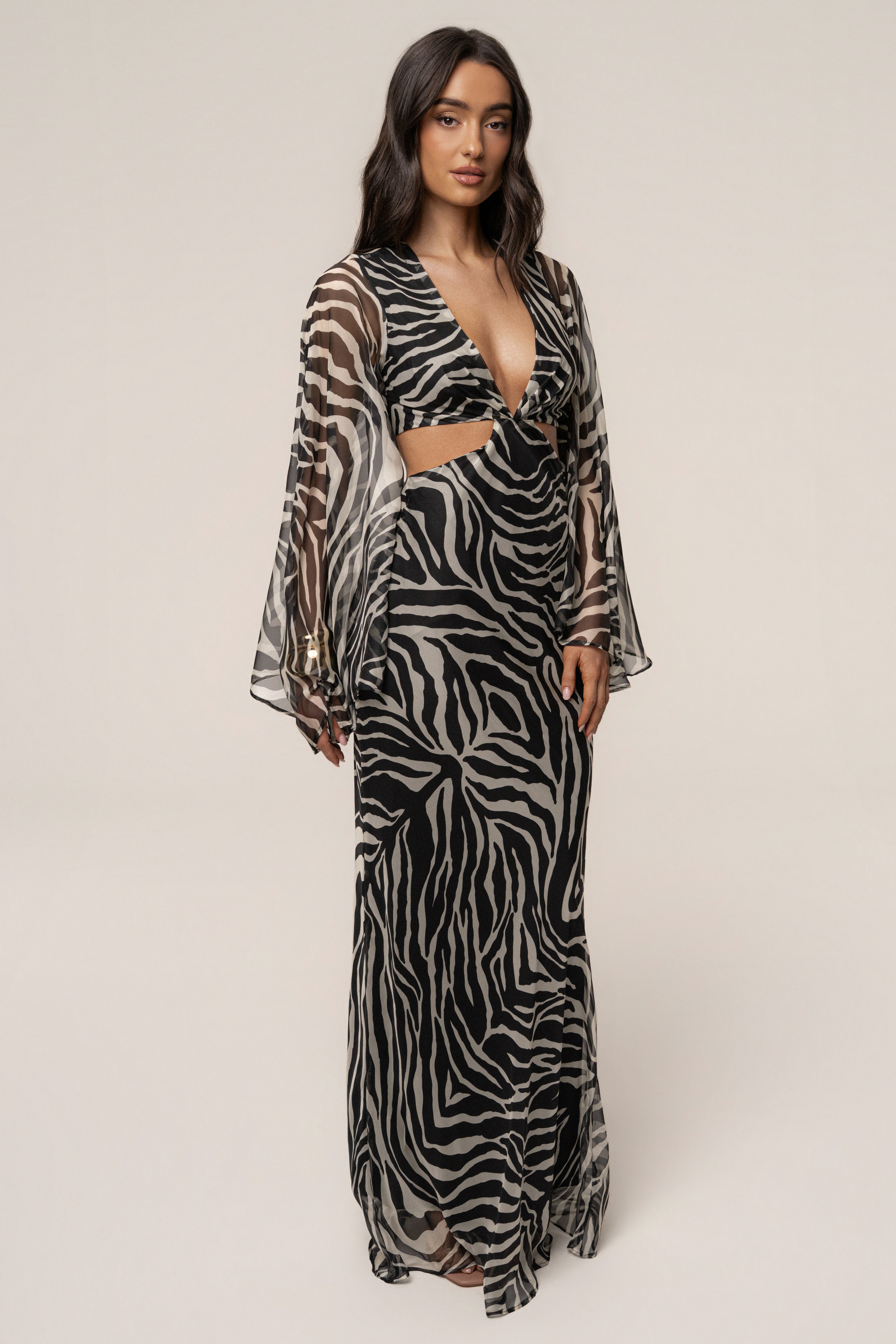 Black Zebra Instincts Print Maxi Dress - JLUXLABEL