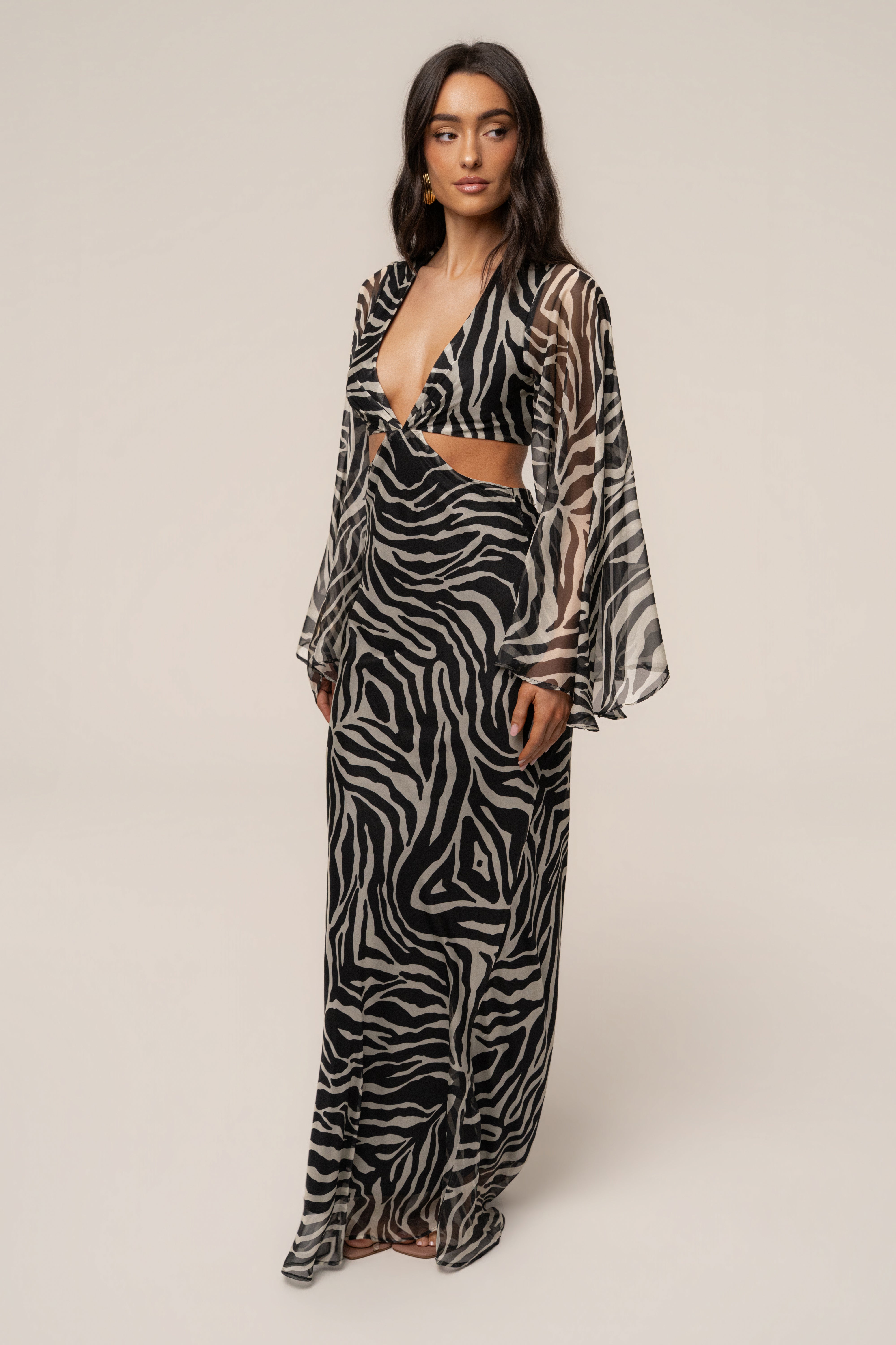 Black Zebra Instincts Print Maxi Dress - JLUXLABEL