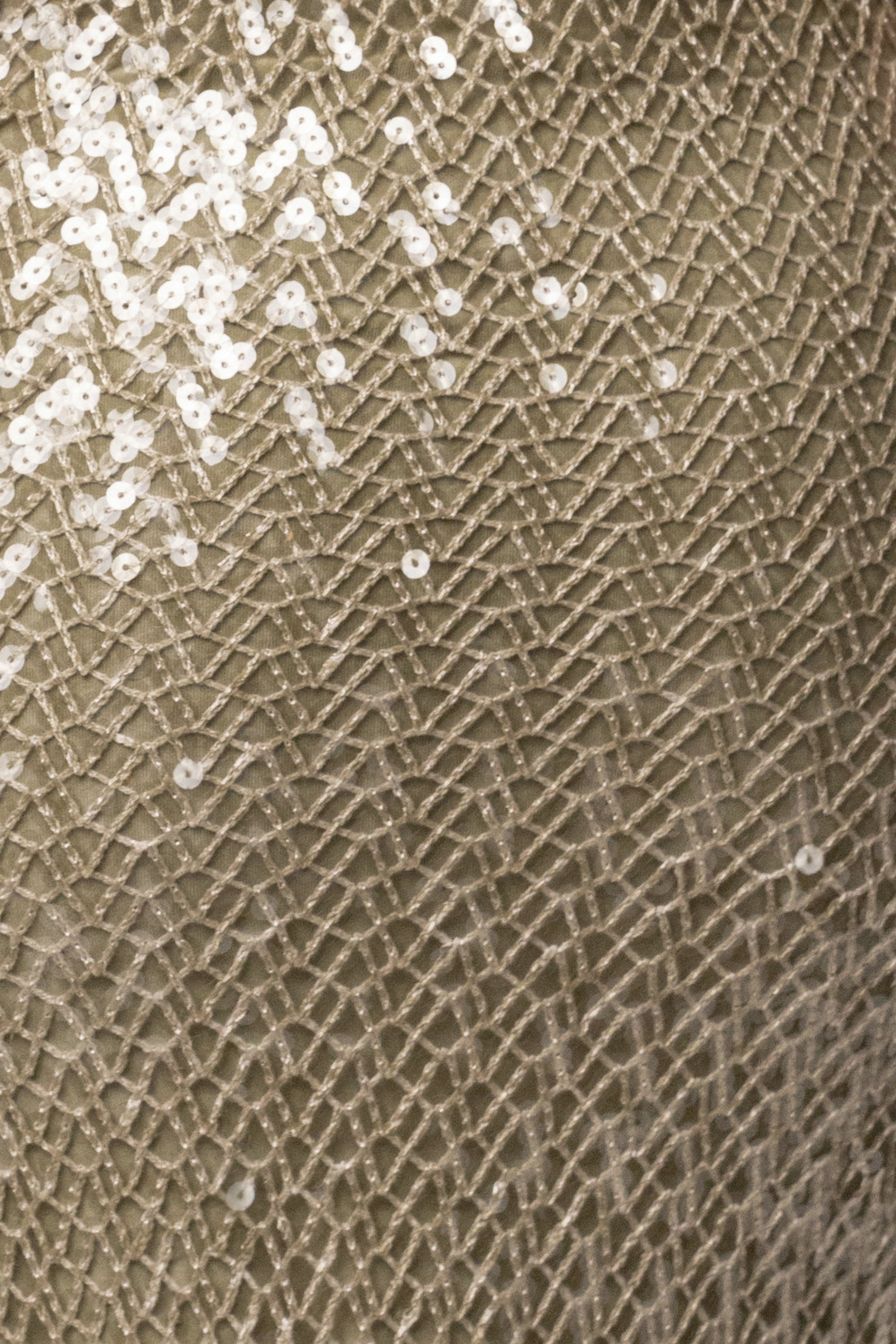 Sage Marisela Sequin Maxi Dress