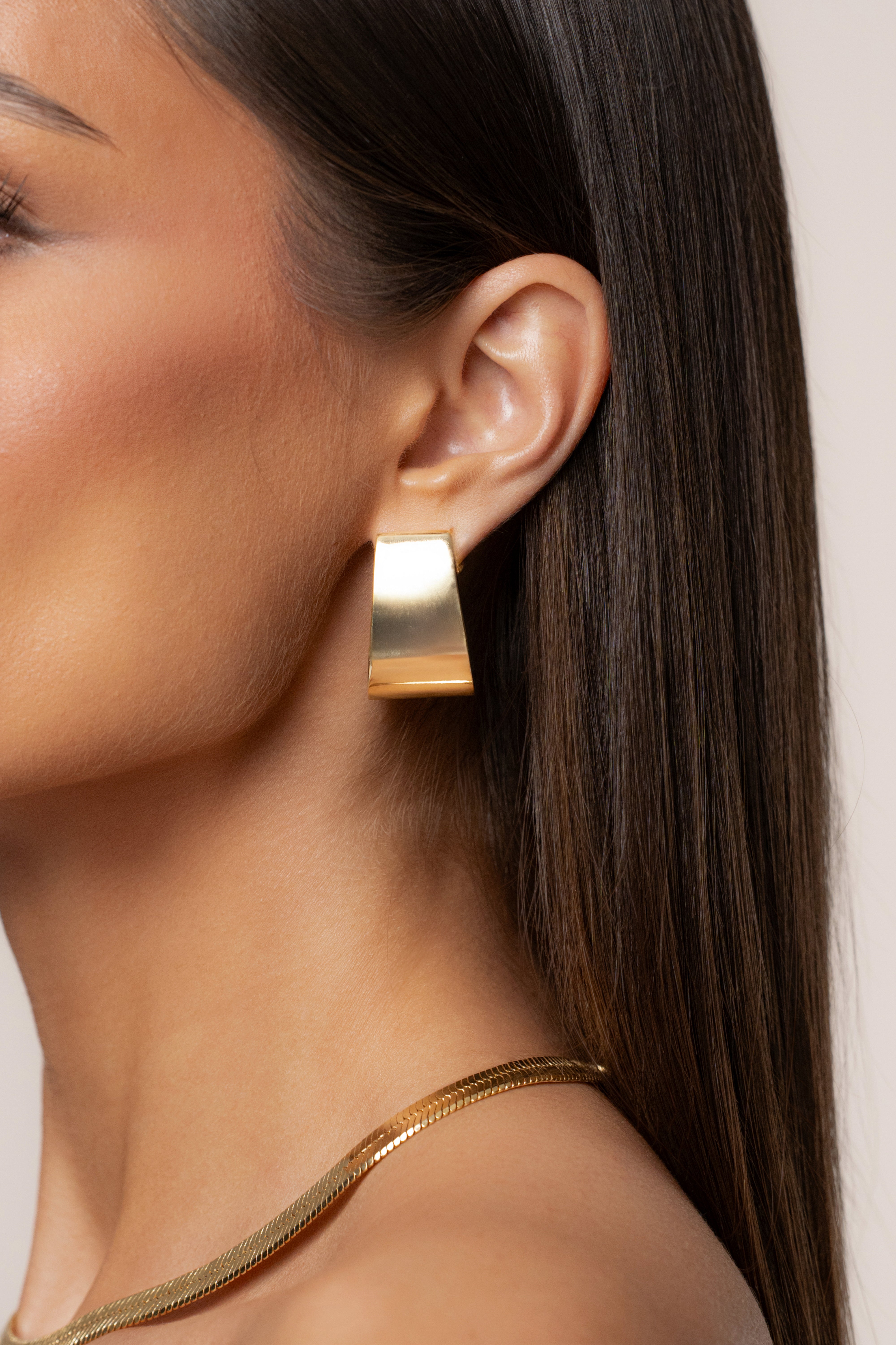 Gold Morgan Earrings - JLUXLABEL