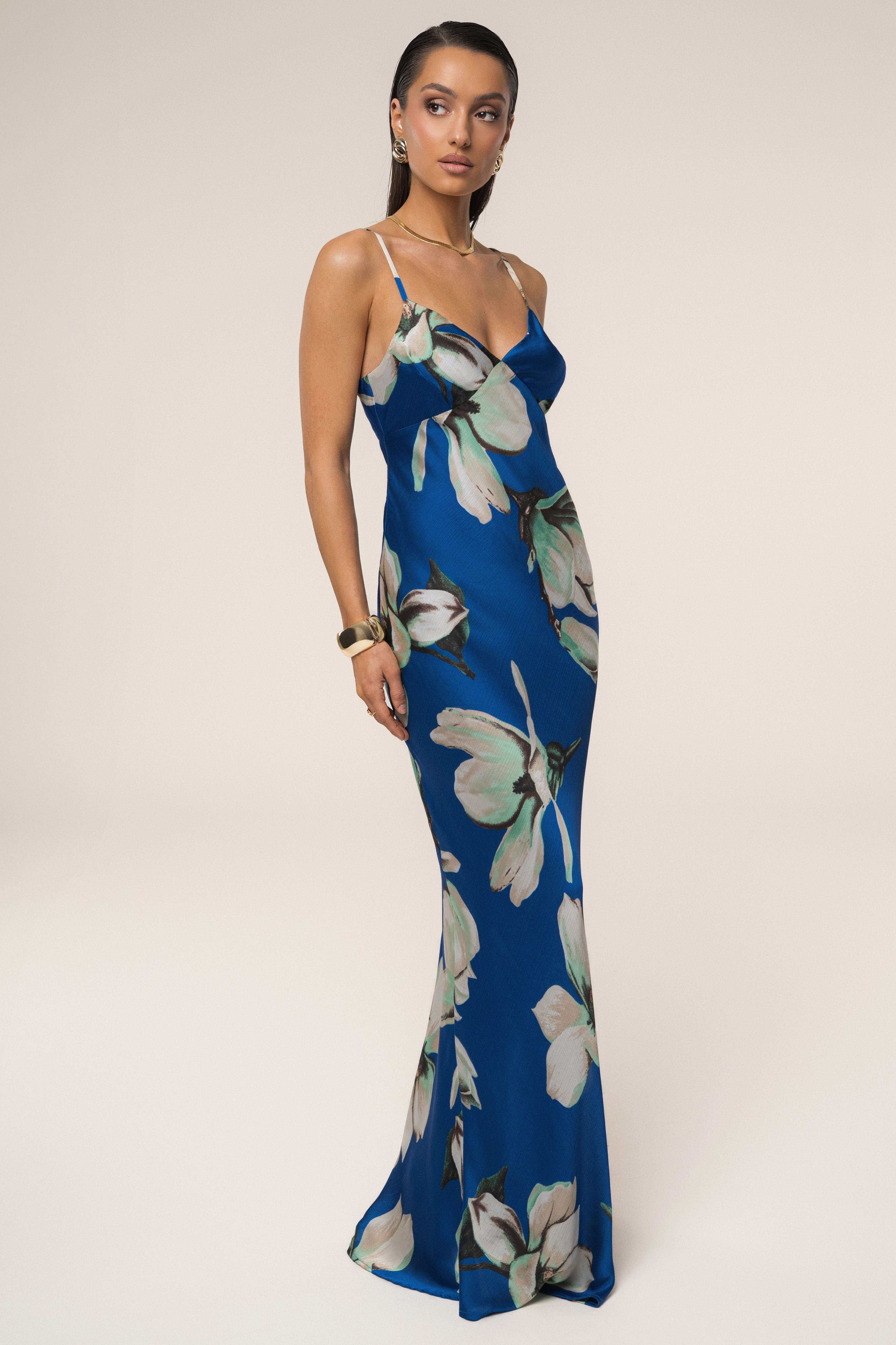 Blue Floral Azul Print Maxi Dress - JLUXLABEL
