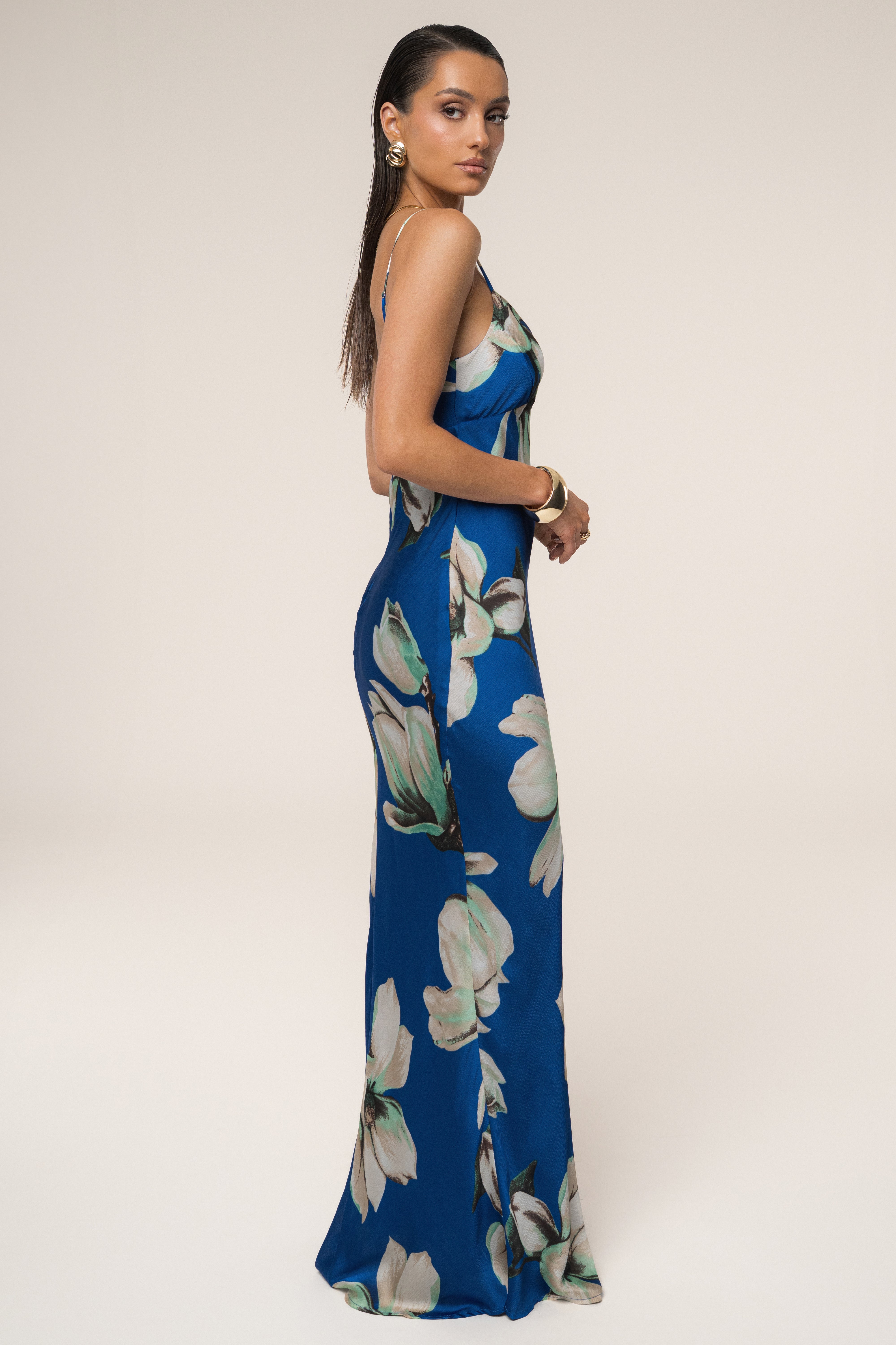 Blue Floral Azul Print Maxi Dress - JLUXLABEL