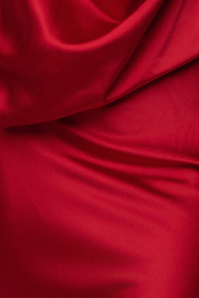 Red Delmara Cowl Maxi Dress - JLUXLABEL