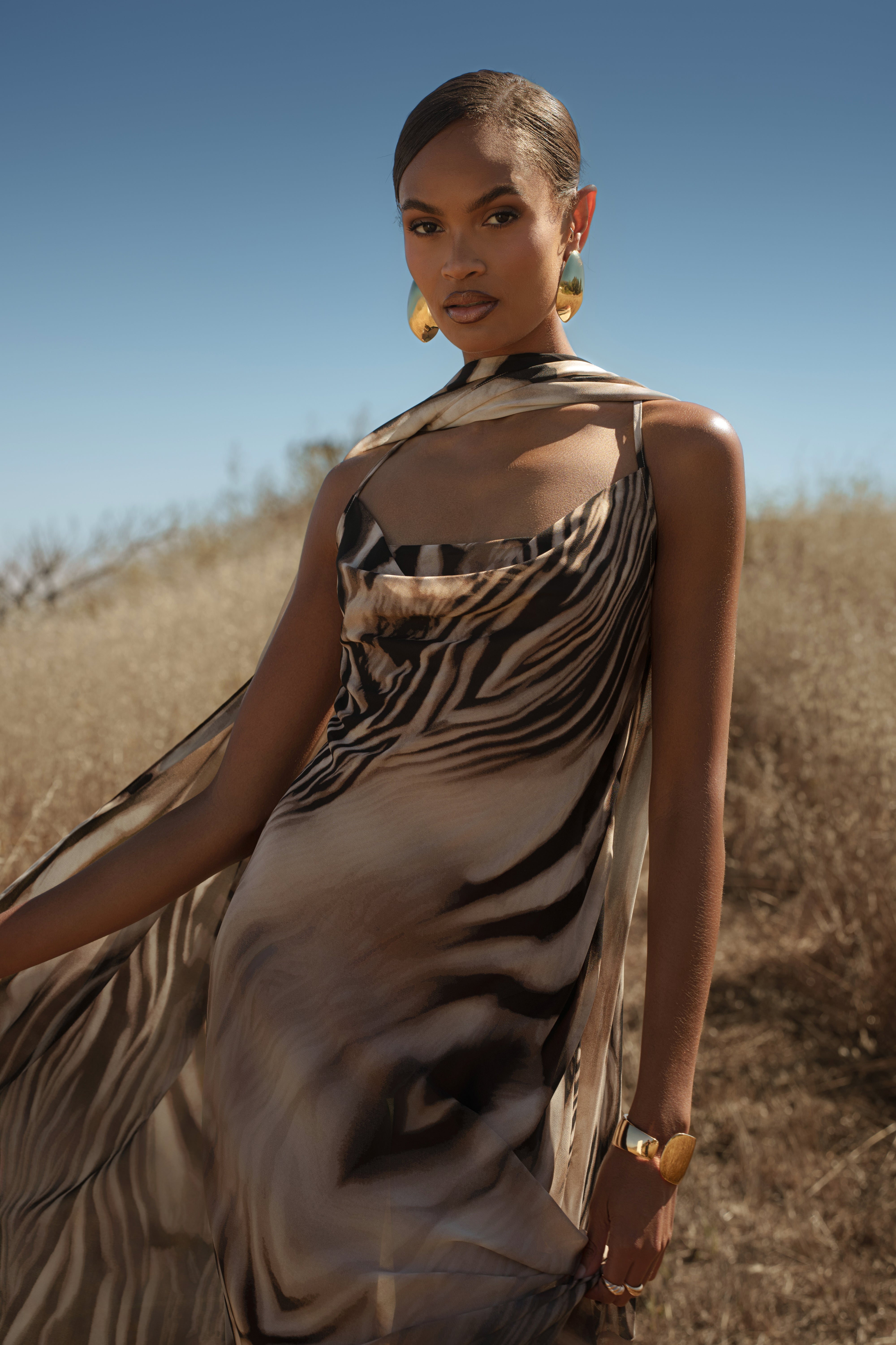 Brown Zebra Print Infinite Journey Maxi Dress - JLUXLABEL