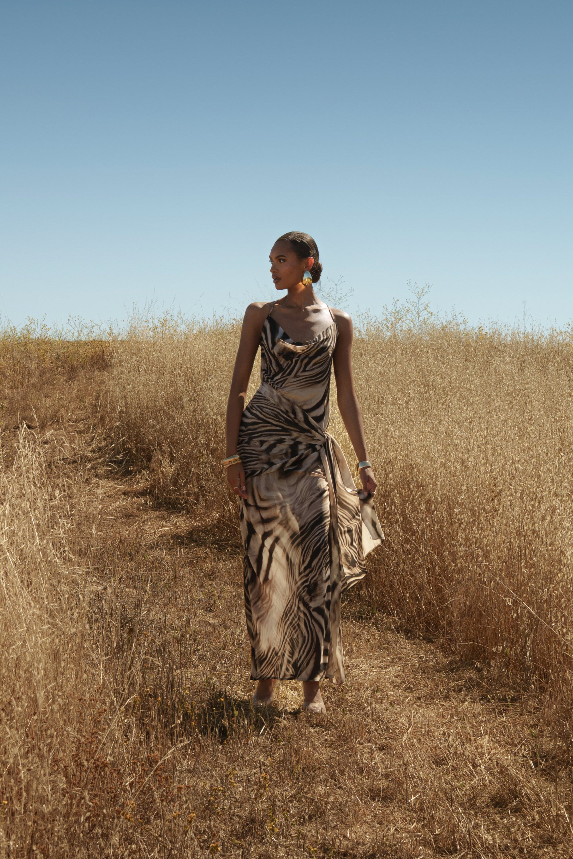 Brown Zebra Print Infinite Journey Maxi Dress - JLUXLABEL