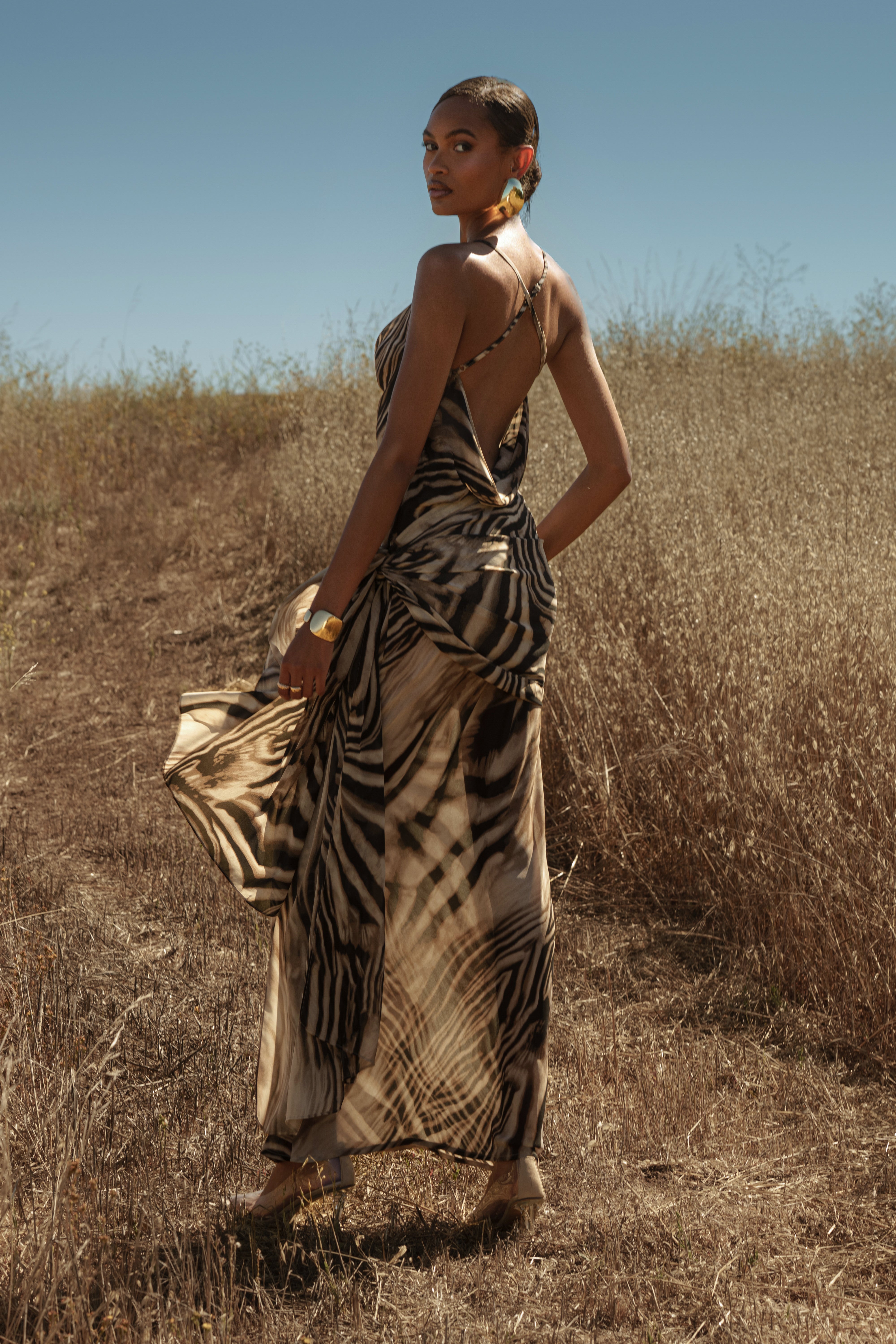 Brown Zebra Print Infinite Journey Maxi Dress - JLUXLABEL