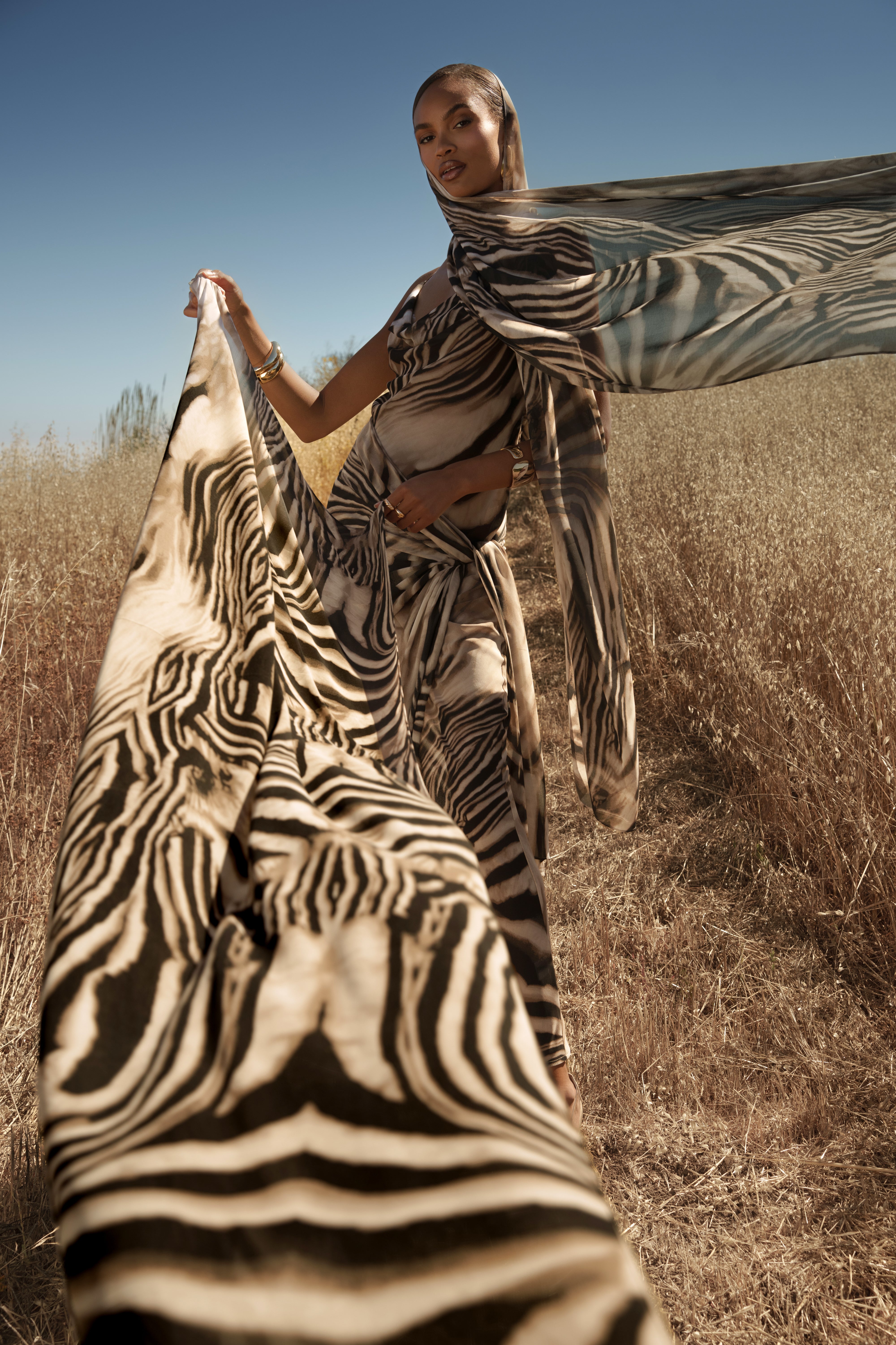 Brown Zebra Print Shadow Safari Scarf - JLUXLABEL