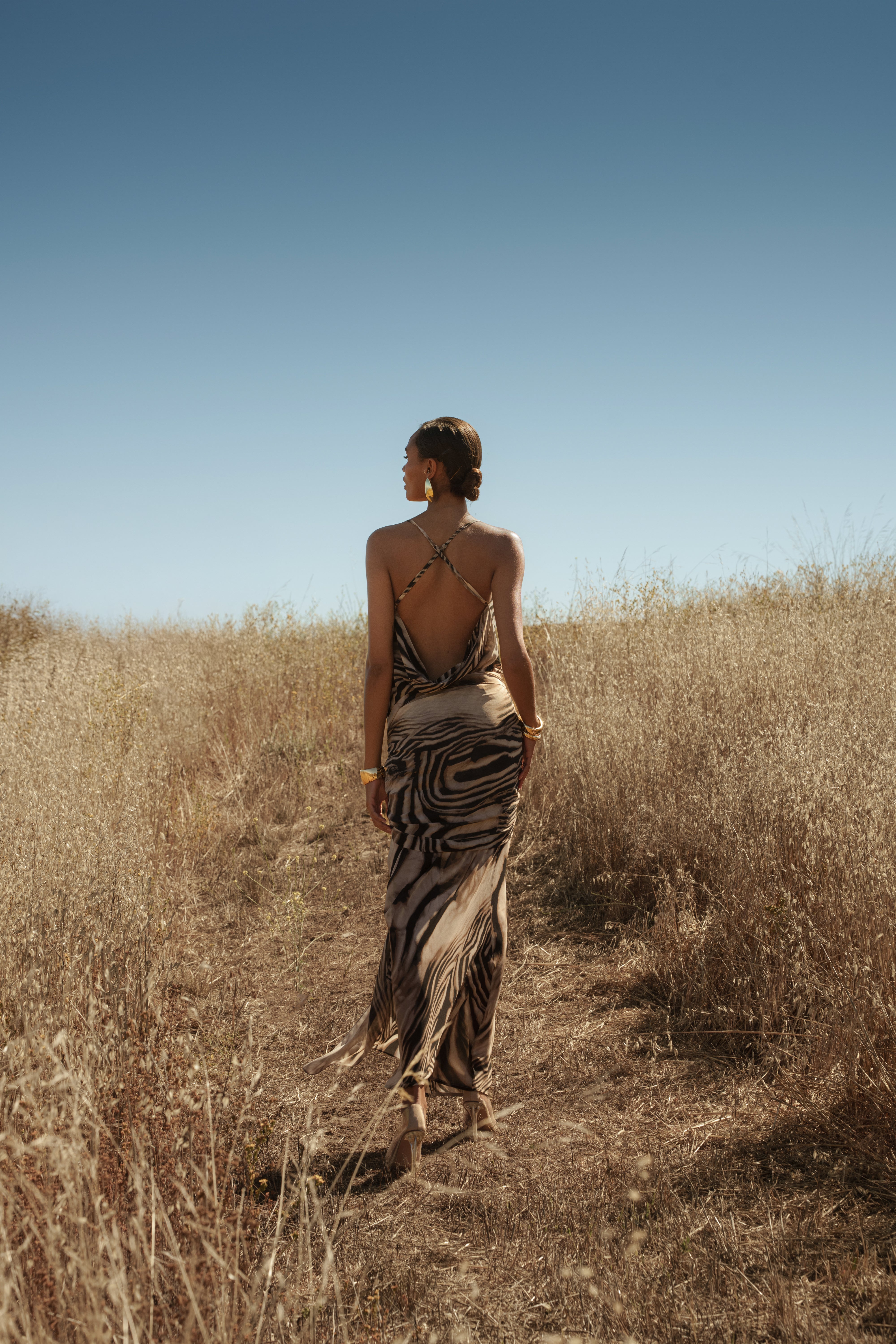 Brown Zebra Print Infinite Journey Maxi Dress - JLUXLABEL