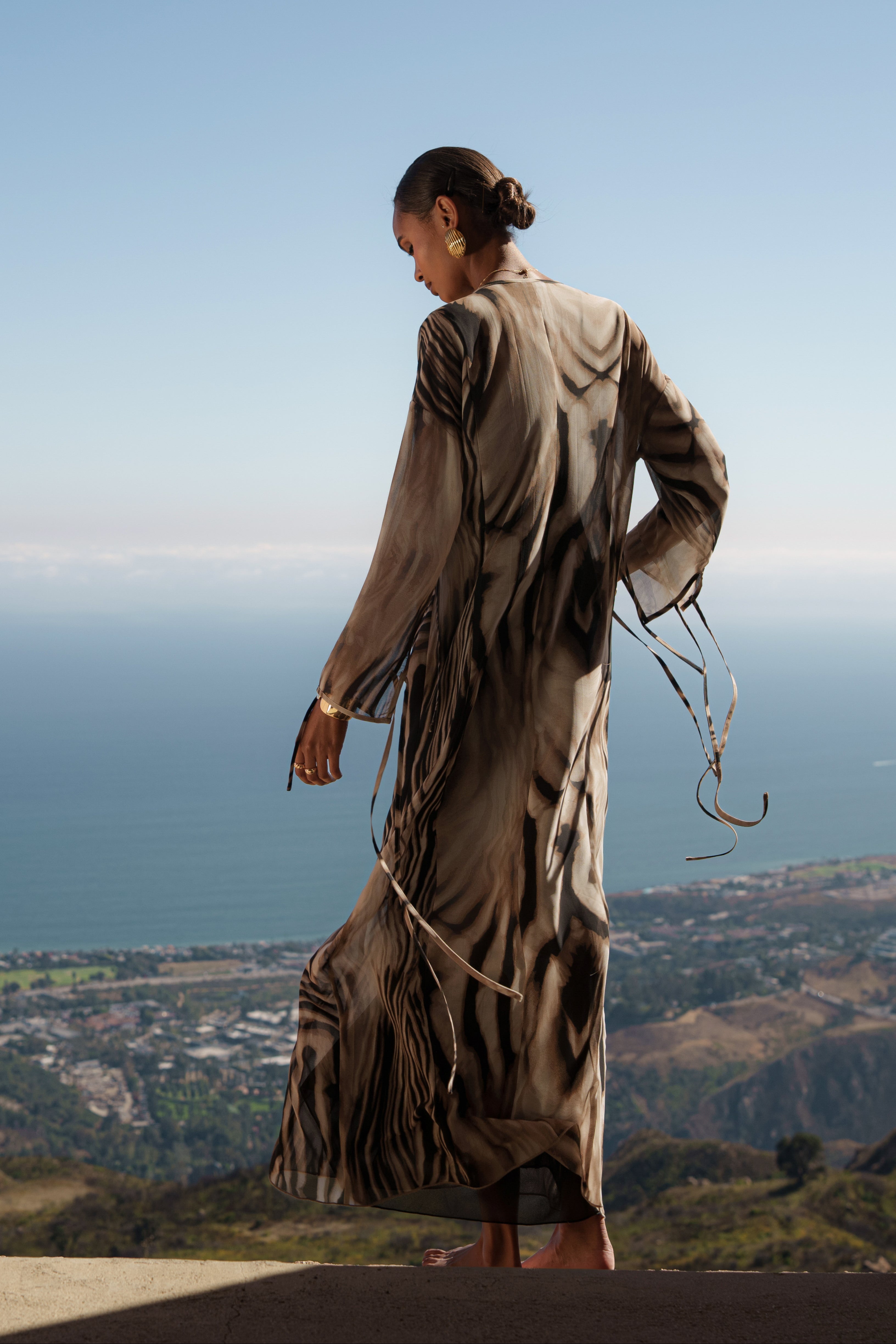 Brown Zebra New Vista Maxi Dress - JLUXLABEL