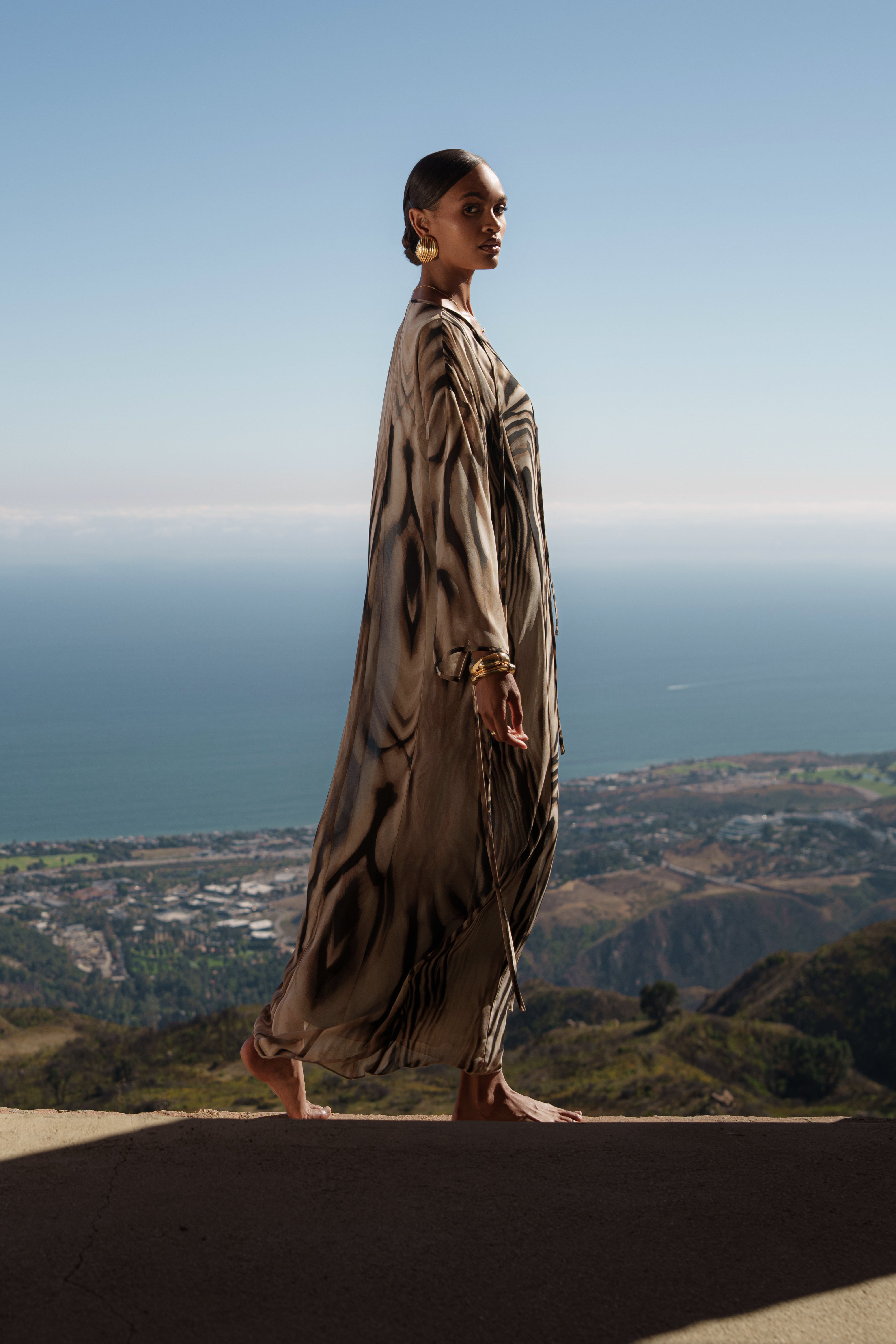 Brown Zebra New Vista Maxi Dress - JLUXLABEL