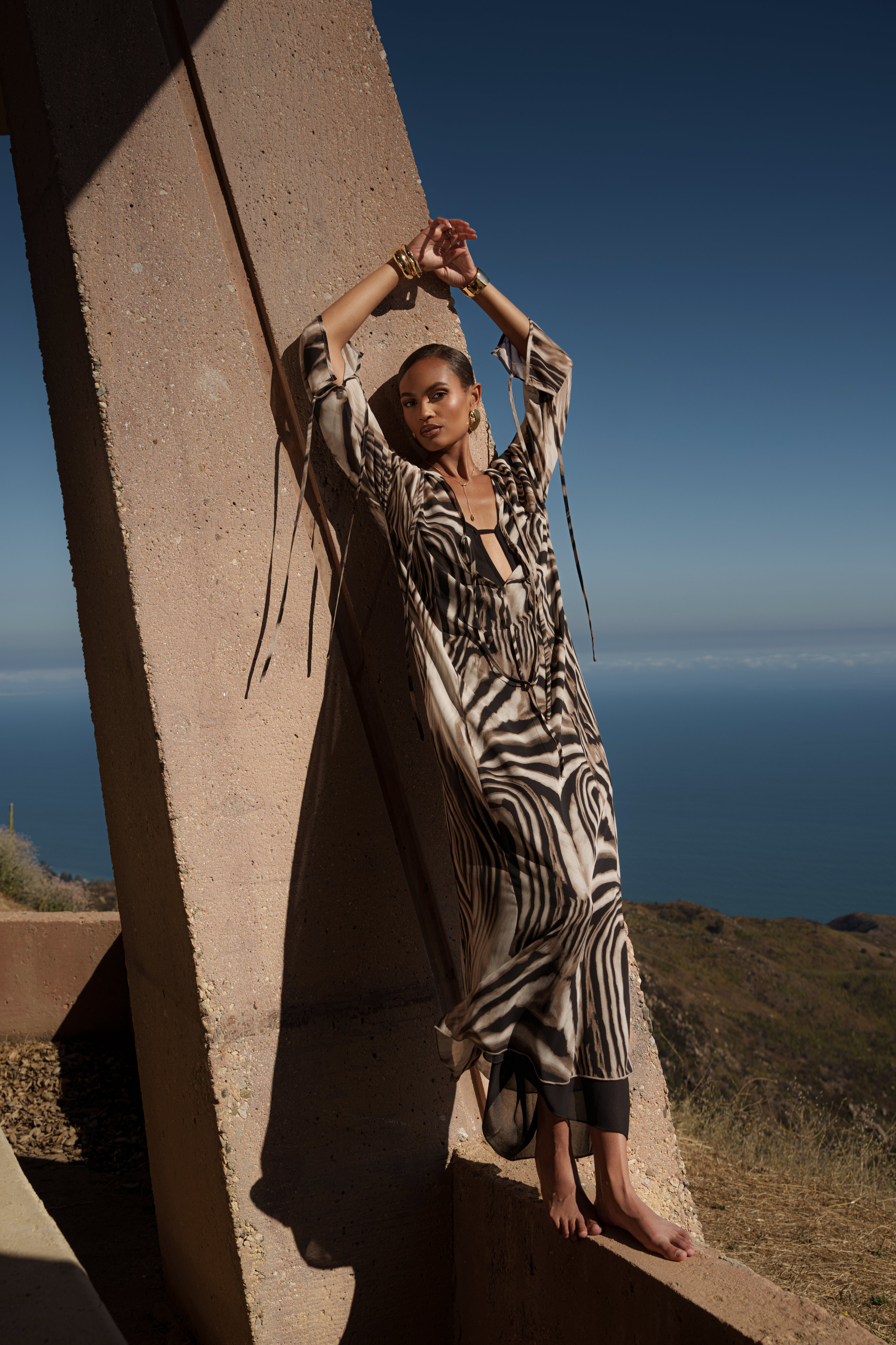 Brown Zebra New Vista Maxi Dress - JLUXLABEL