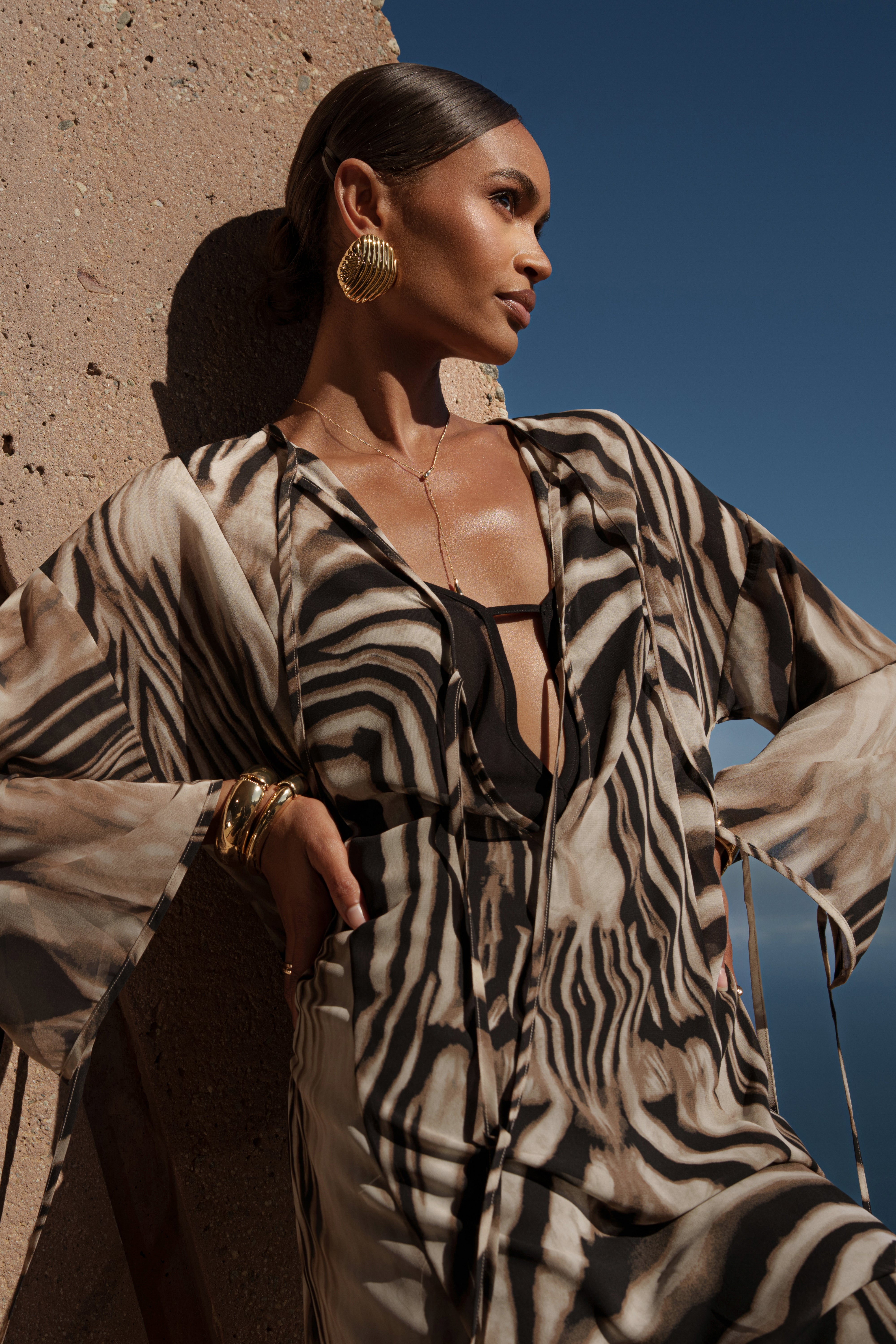 Brown Zebra New Vista Maxi Dress - JLUXLABEL