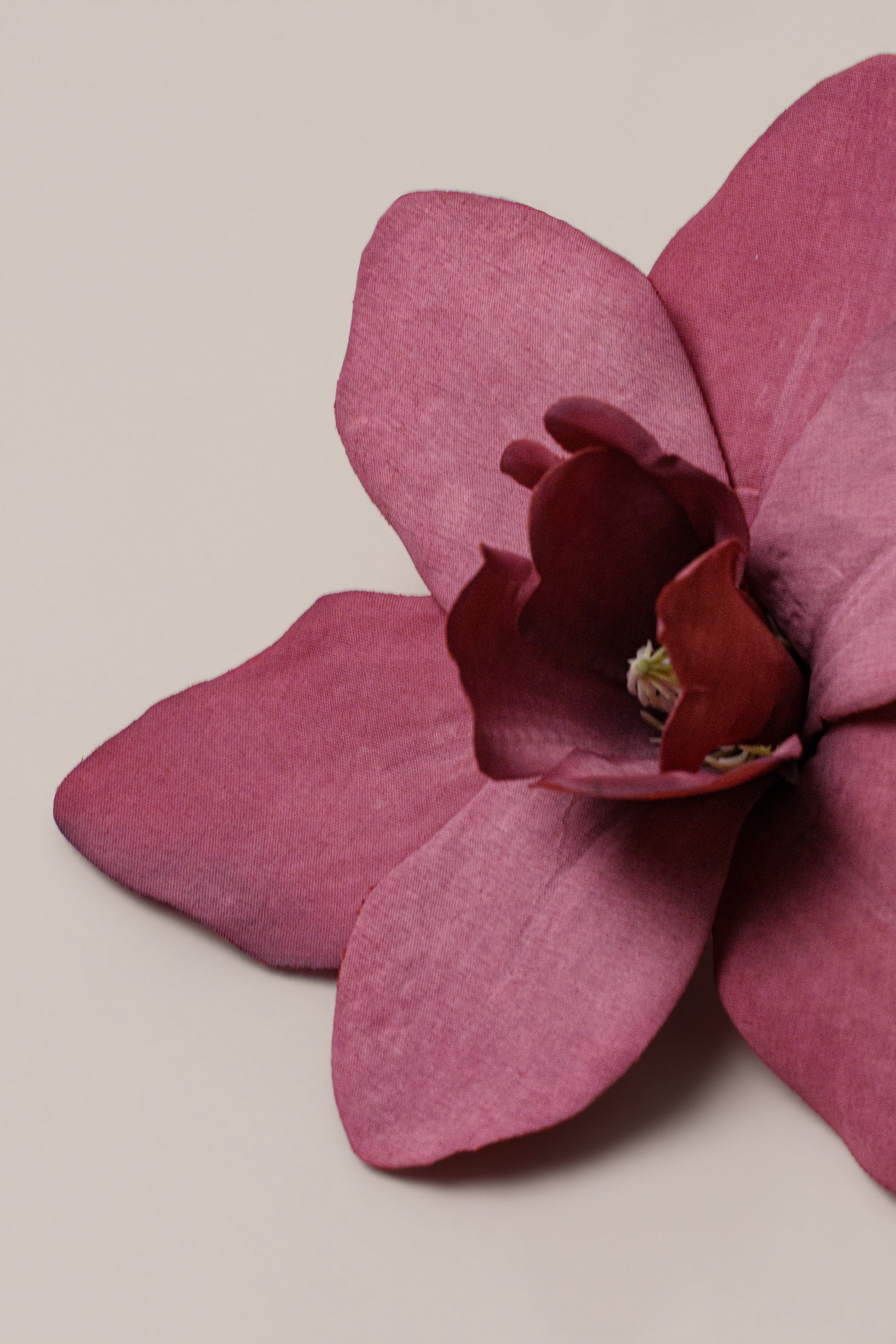 Fuchsia coastal orchid hair clip by JLUXLABEL, decorative accessories for hair styling, featuring vibrant orchid design.