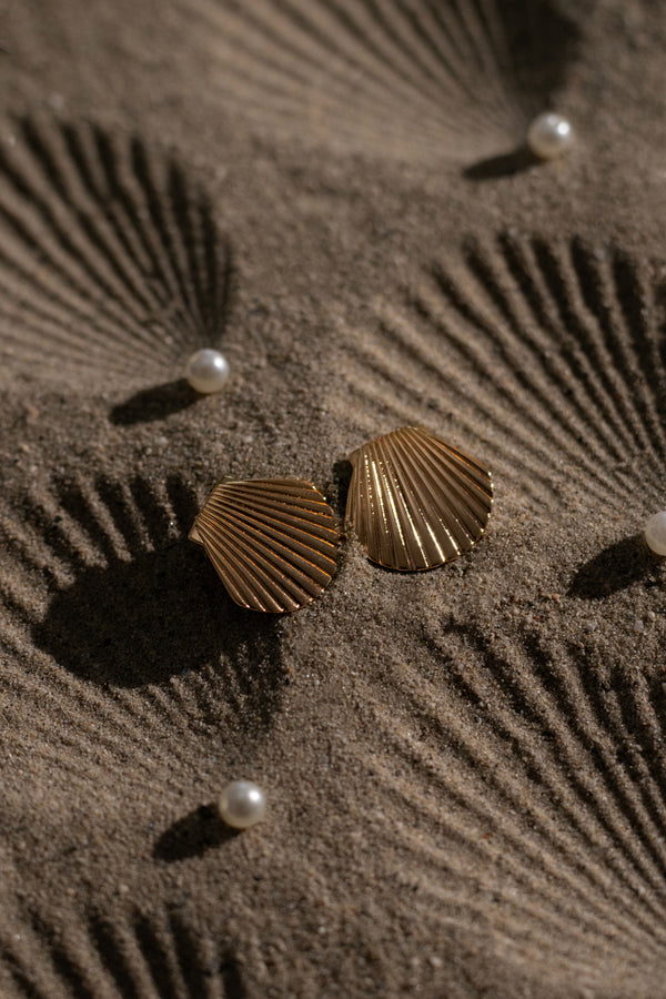 Gold Seashells Stud Earrings