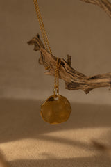 Gold Voyager Coin Necklace - JLUXLABEL