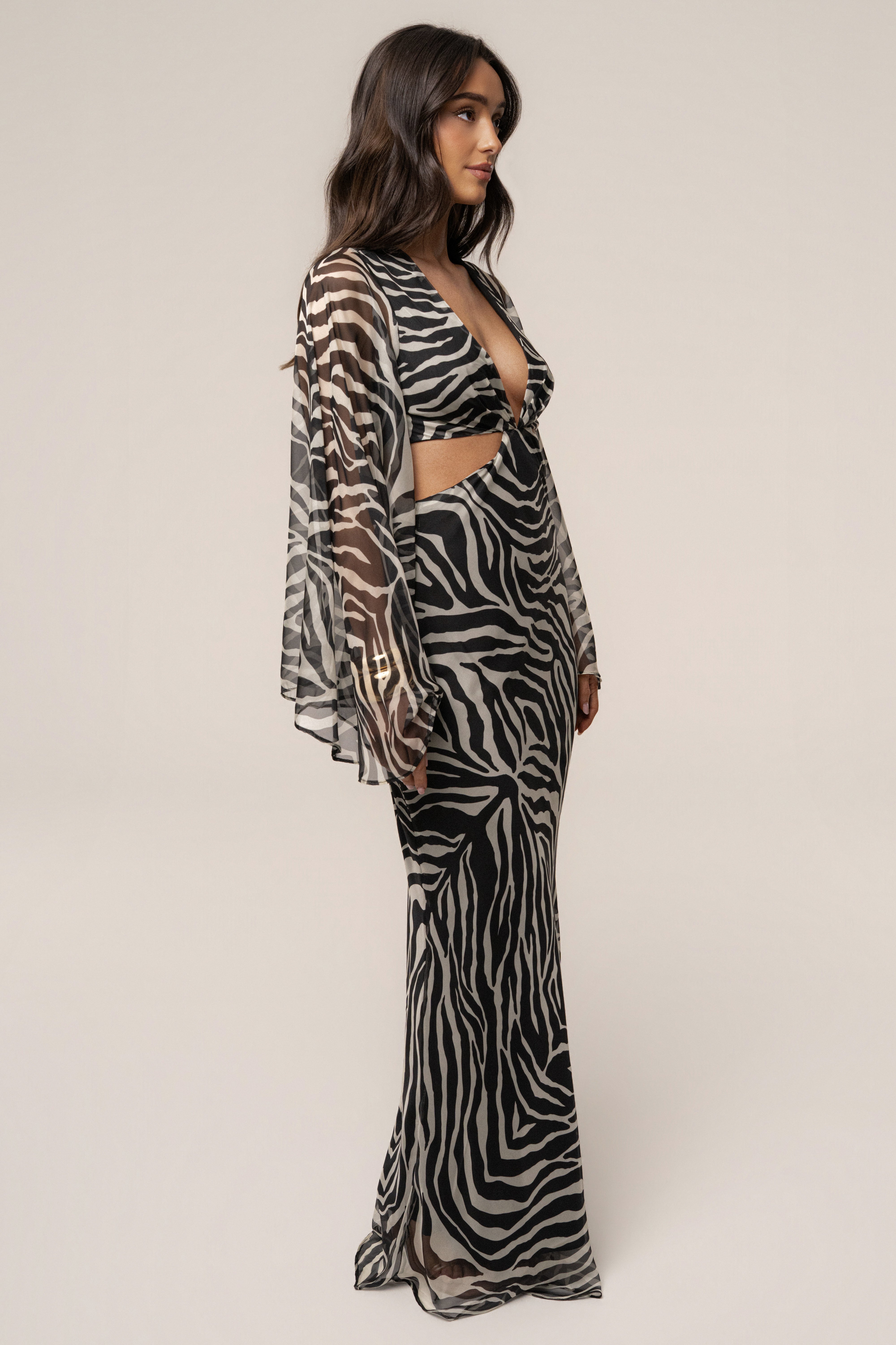 Black Zebra Instincts Print Maxi Dress - JLUXLABEL