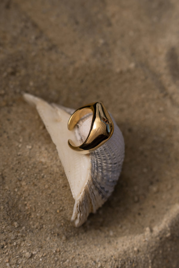 Gold Lucci Ring - JLUXLABEL