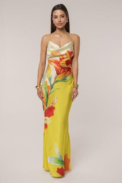 PRODUCT-MAR52025-MAUINIGHTS-