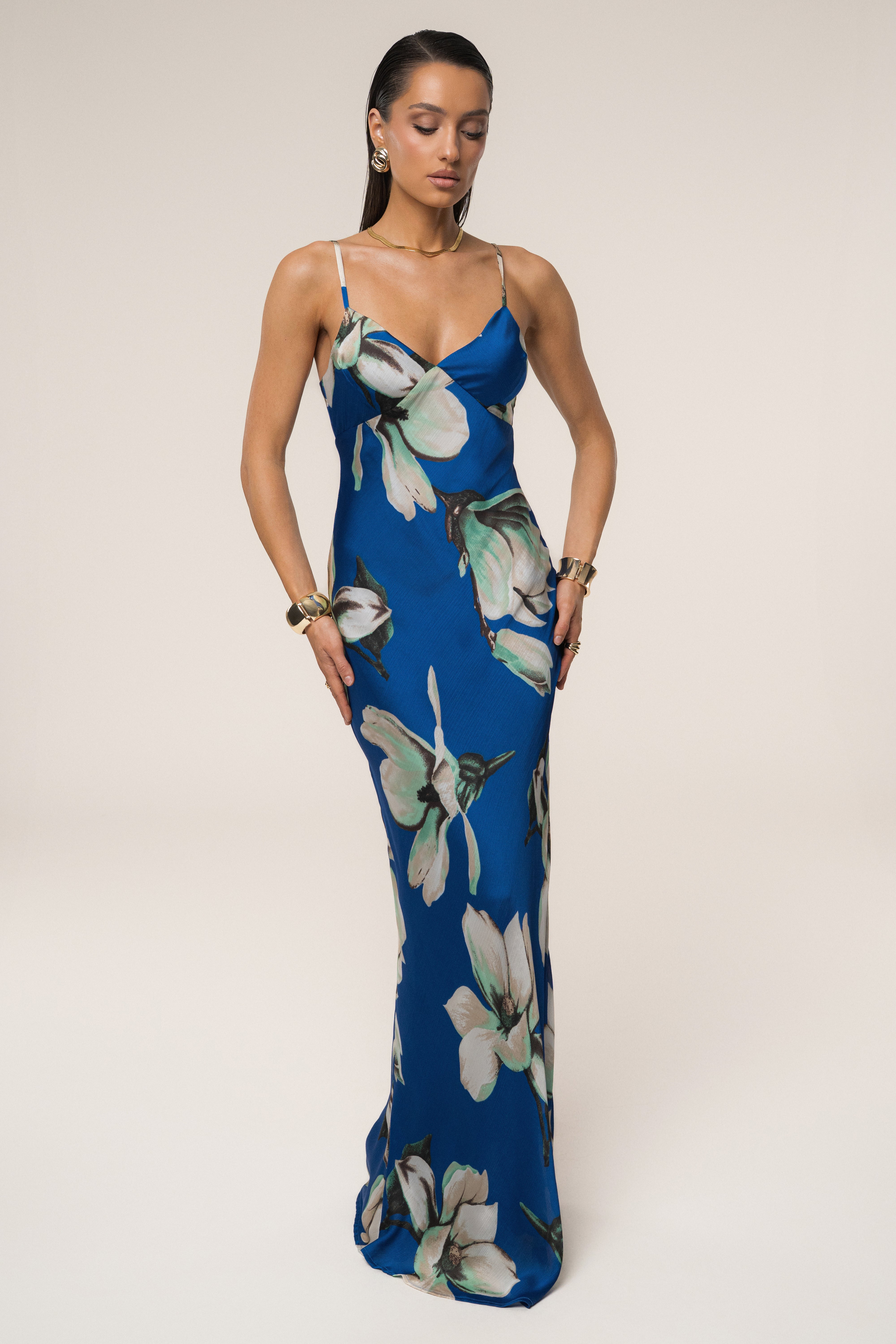 Blue Floral Azul Print Maxi Dress - JLUXLABEL