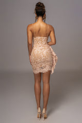 Blush Marilyn Lace Mini Dress - JLUXLABEL