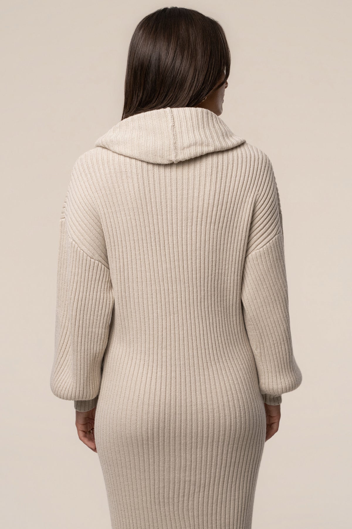 Milk Coffee Run Turtleneck Dress - JLUXLABEL