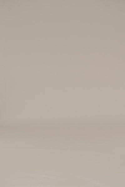 PRE-ORDER Ivory Siren Sculpted Mesh Dress