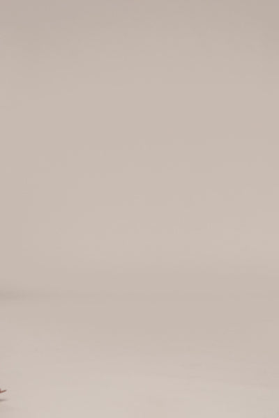 Crimson Dusk Midnight Confidence Mini Dress