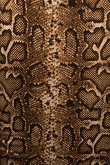 Snakeskin Rule Breaker Dress - Feminine Force - JLUXLABEL
